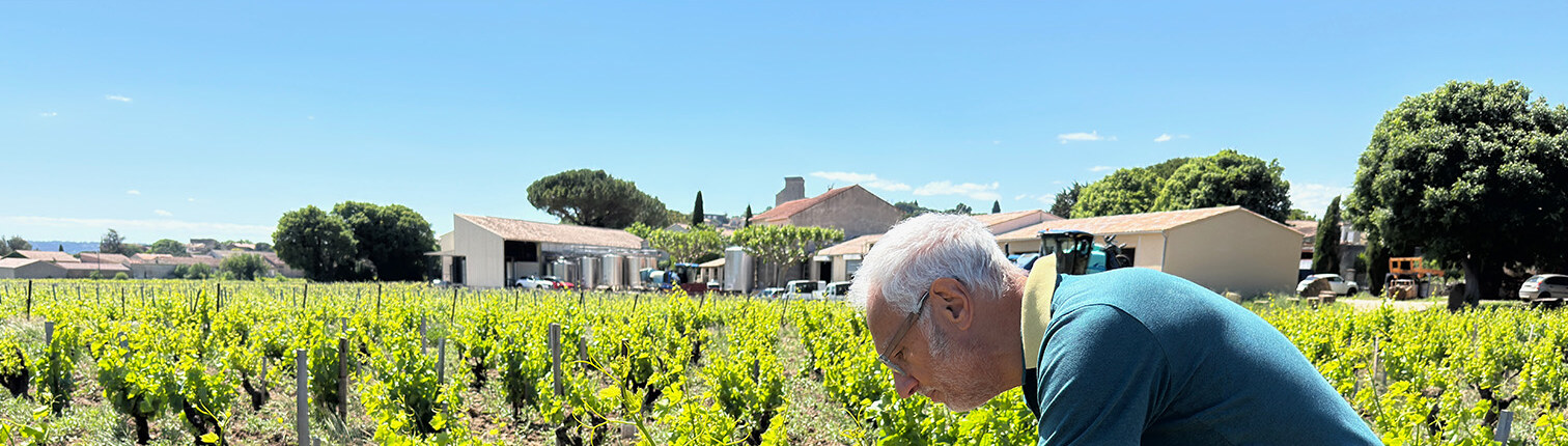 Didier Boisson tending the family vines, with the domaine behind
