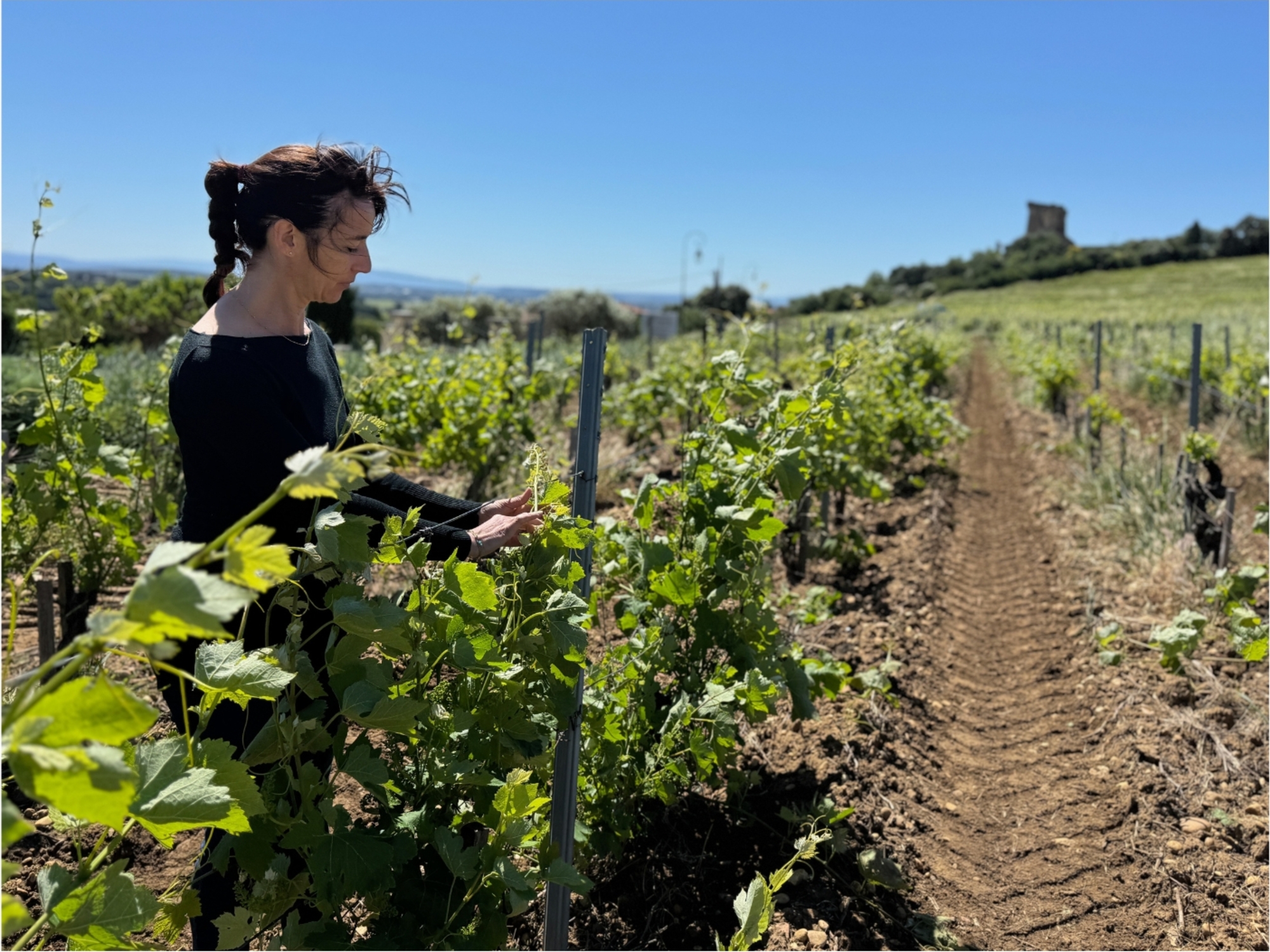 Emilie Boisson among the vines, with the Châteauneuf-du-Pape castle in the background