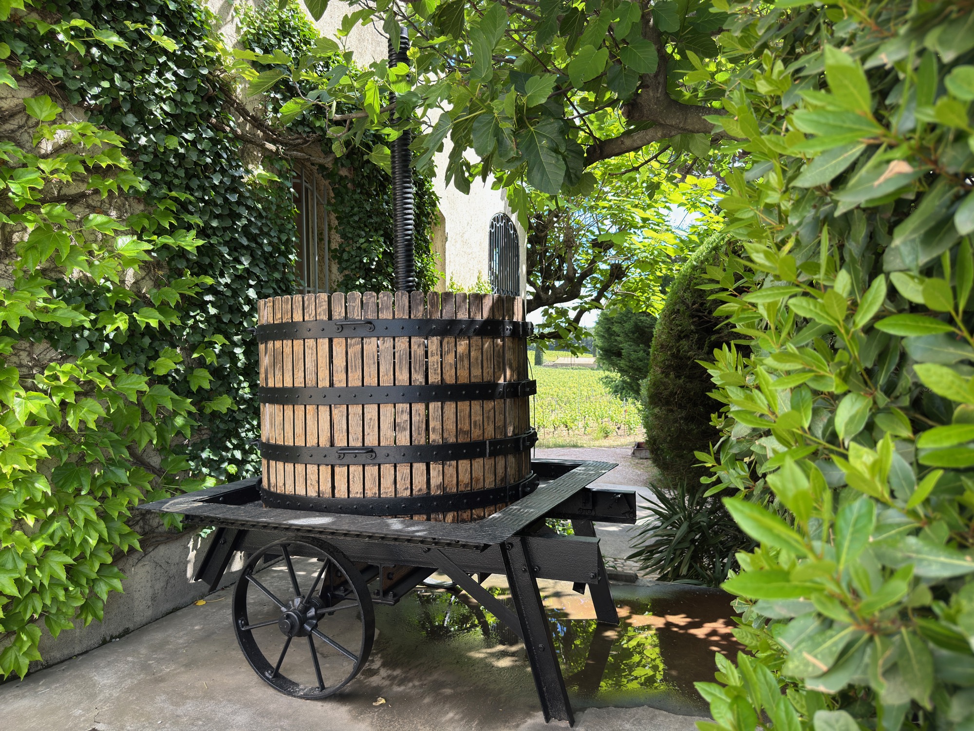 Historic wooden wine press of the domaine